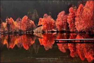 Espérons que cela ne puisse pas __ cette année.