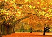 Quiz Comment savoir que l'on est en automne ?