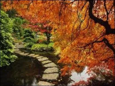 Tu vas devoir aller &agrave; la pharmacie demander des m&eacute;dicaments comme :