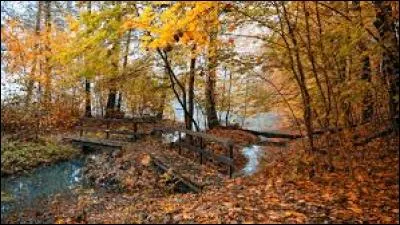 Le poids que tu as pu perdre pendant l'__ revient tr&egrave;s vite.