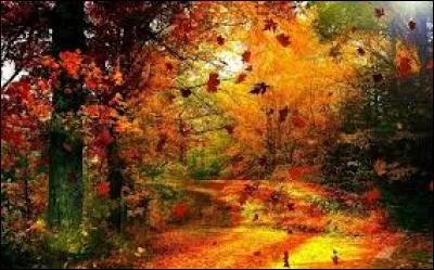 Le soir, il est &agrave; peine 18 heures que tu parles au Soleil :