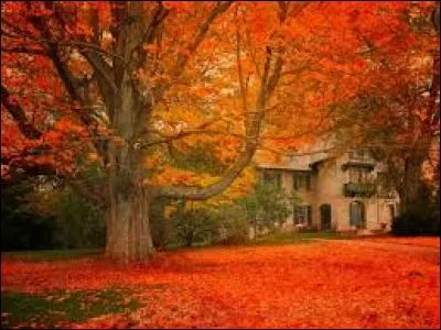 Devant les caf&eacute;s, il n'y a plus que des fumeurs avec leurs...