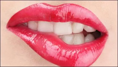 Qu'est-ce qui sécrète la salive ?