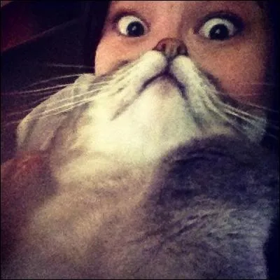 Quel animal transforme cette adolescente en vieillard ?