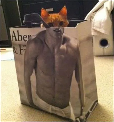 Quel animal s'est réfugié dans ce sac ?