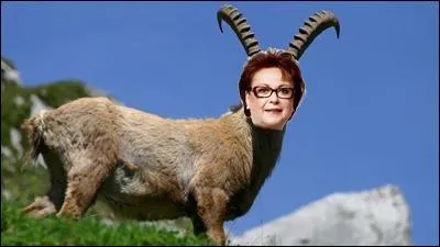 Qui cela semble-t-il être ?