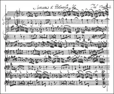 Comment s'appelle ce qu'on voit à l'image ?