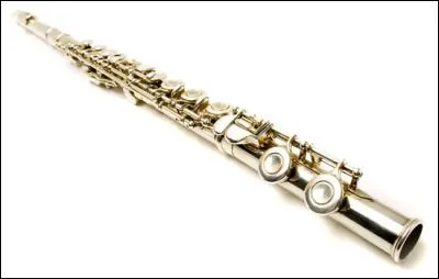 De quelle famille fait partie la flûte traversière ?