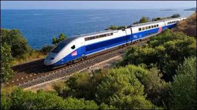 2 - En raison d'une forte affluence de lions, nous demandons aux voyageurs à destination de Paris de descendre du train pour en changer.
Des lions ? Nous sommes vraiment dans la __.