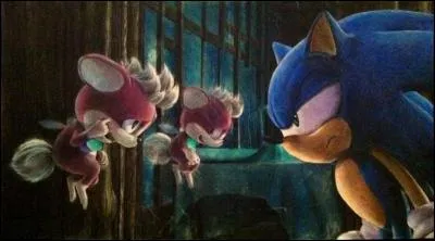Dans le jeu "Sonic Unleashed, la malédiction du hérisson" comment se nomme le petit personnage aux côtés de Sonic ?
