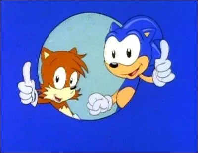Dans la série "Sonic the Hedgehog", de qui Sonic est-il amoureux ?