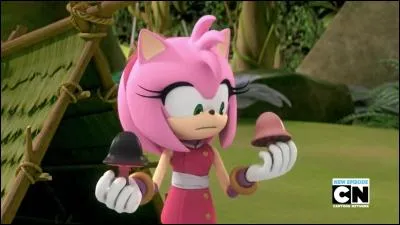 Dans la série "Sonic Boom" qui est la meilleure amie d'Amy Rose ?