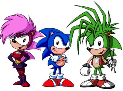 Dans la série "Sonic le rebelle" comment se nomment le frère et la sur de Sonic ?