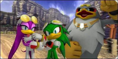 Dans "Sonic Riders" qui sont ces personnages ?