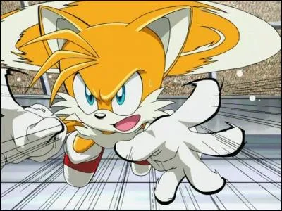 Dans la série "Sonic X" de qui Tails tombe-t-il amoureux ? Et que lui arrive-t-il ?