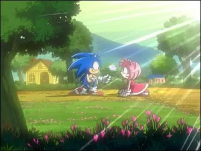 Dans quel épisode de la série "Sonic X" Sonic avoue-t-il à Amy qu'il l'aime ?