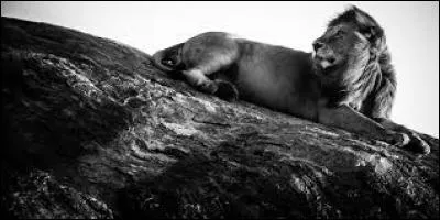 A quel chanteur doit-on "62, nos quinze ans" ?