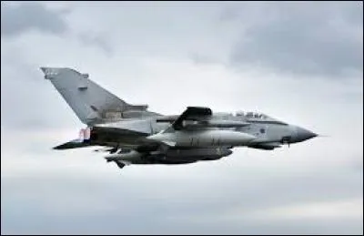 De quel pays la Royal Air Force est-elle l'armée de l'air ?