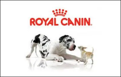 Que fabrique le fournisseur mondial Royal Canin ?