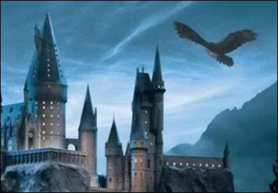 Il y a eu sept romans qui ont été adaptés au cinéma en huit films. Véritable saga à succès. On le reconnaît à sa cicatrice.