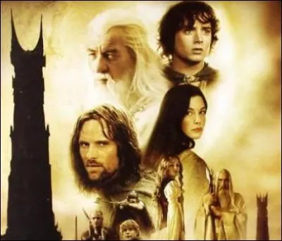 Histoire qui se déroule sur la Terre du milieu. Une communauté a une mission mais sur le chemin il y a les deux tours ; à la fin le roi revient. 3 romans pour 3 films.
