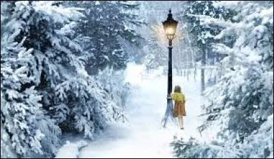 Monde de magie où seuls les enfants peuvent se rendre. Les films ne respectent pas tout a fait la chronologie des romans mais ce n'est pas grave.