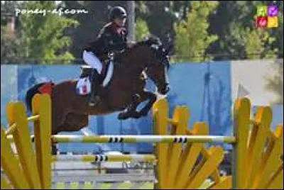 Sous la selle de Charlotte Lebas, ils volent ensemble, c'est...