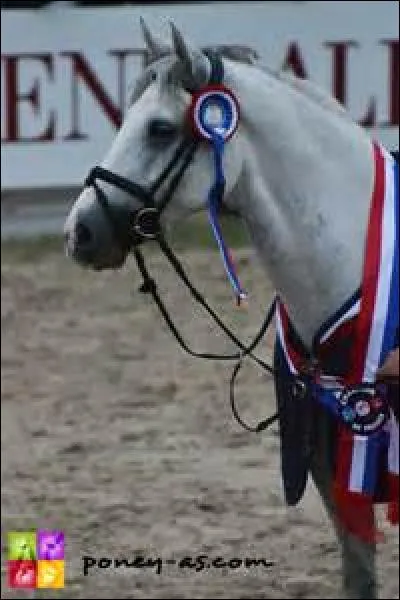 Il est champion de France en As Elite Excellence en 2016.