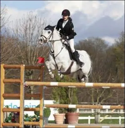 Fils de Dexter Leam Pondi toujours sans faute aujourd'hui, sa cavalière s'appelle Camille Conde Ferreira.
