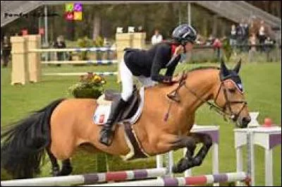 Un isabelle sous la selle de Nina Mallevey, toujours sans faute est magnifique et se nomme...
(il a changé de cavalière)