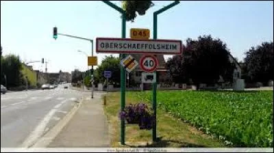 Nous entrons à Oberschaeffolsheim. Ville de l'eurométropole Strasbourgeoise, elle se situe dans le département ...