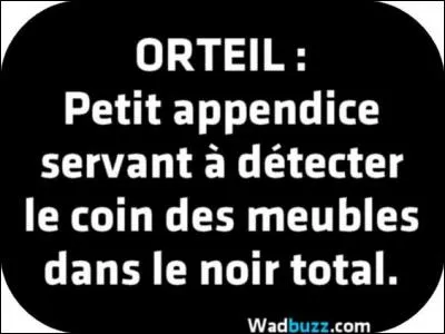 A quel mot pensez-vous ?