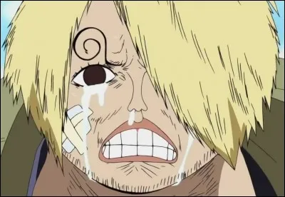 Qui est le "sosie" de Sanji ?