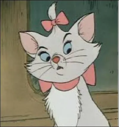 Quelle est cette chatte ?