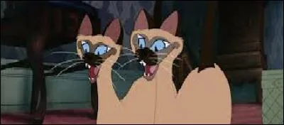 Quelles sont ces deux chattes méchantes ?