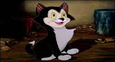 Quel est ce chat de Geppetto ?