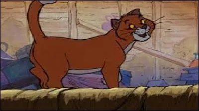 Quel est ce chat marié à la chatte de la question 3 ?