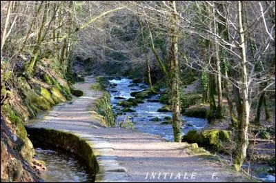 L'abbaye ne bénéficiait pas directement d'eau de source. Quelle idée eurent les moines cisterciens dès le XIIe siècle ?
