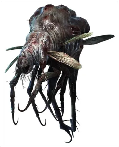 Au maximum, combien de glasps peut-on rencontrer dans l'épisode 4 ?