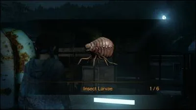 Où peut-on voir des larves d'insectes, hormis celles que Natalia peut voir et détruire ?