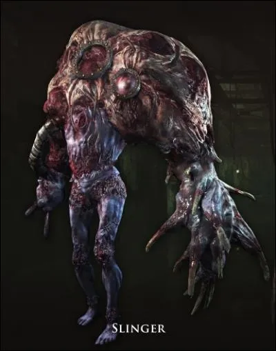 Au maximum, combien de slingers peut-on rencontrer avec Barry et Natalia ?