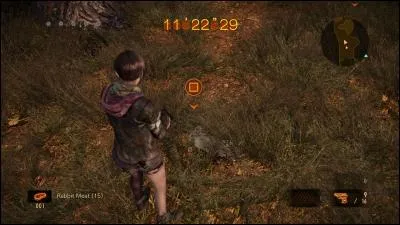 Combien de points rapporte un rat que l'on tue dans le DLC bonus "Description d'un combat" ?