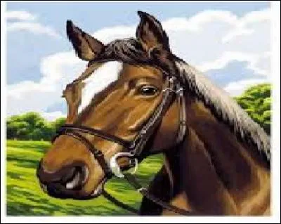 Est-ce un animal qu'on doit promener ?