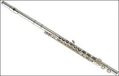 Quel objet peut remplacer vol dans "Pokémon Rubis Oméga" ?