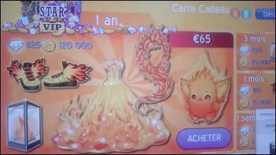 Combien gagnent les stars VIP 1 an ?