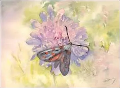 Plante asiatique de la famille des fabacées :