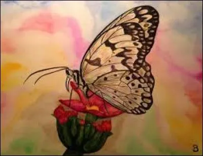 Oiseau de La Réunion et de l'île Maurice, aujourd'hui disparu :