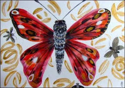 Familièrement, perroquet gris parleur d'Afrique occidentale :