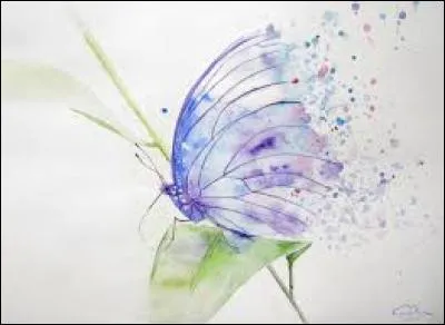 Grand lézard d'Amérique du Sud :