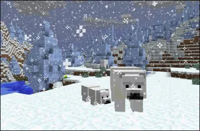 L'ours polaire loote :